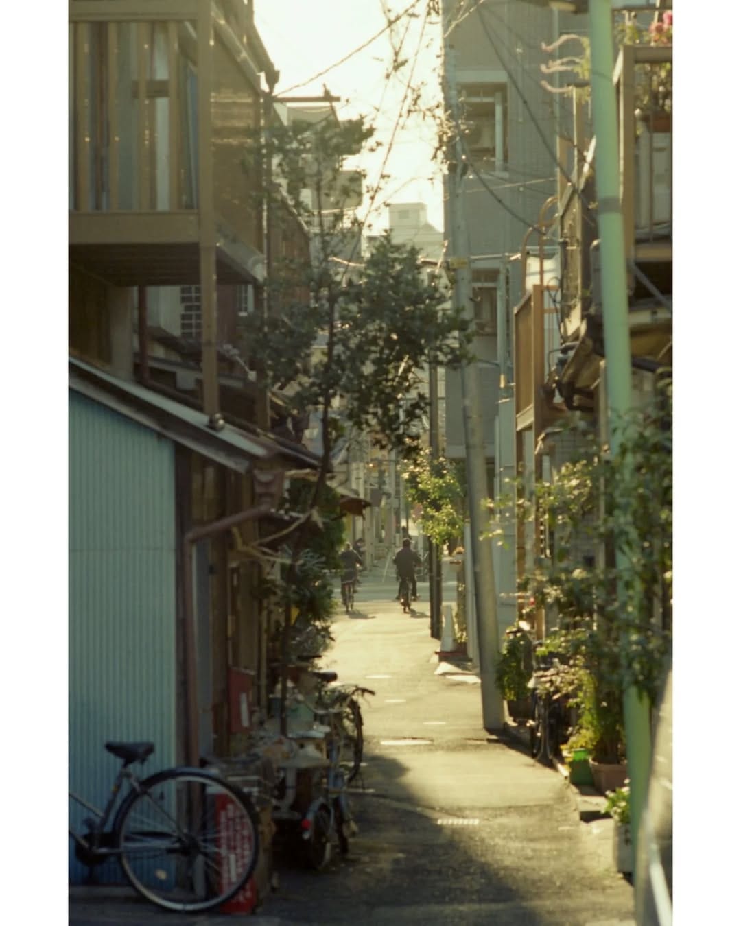 Post 4 by jan on Instagram (image)