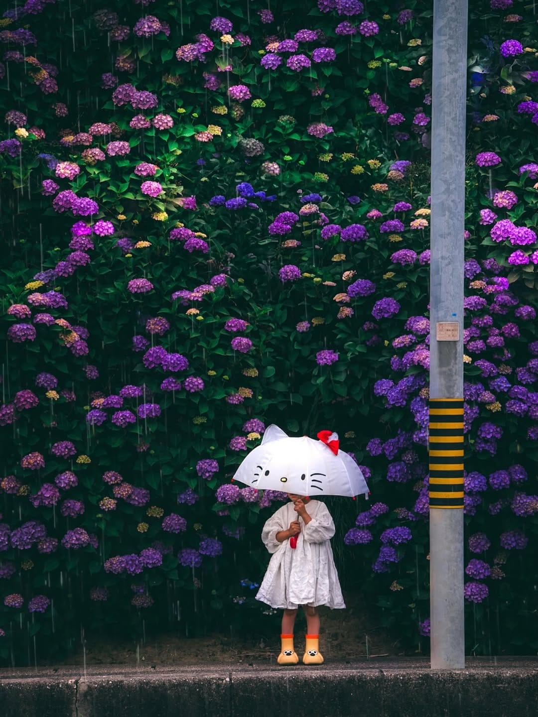 Post 10 by NAMIKO on Instagram (image)