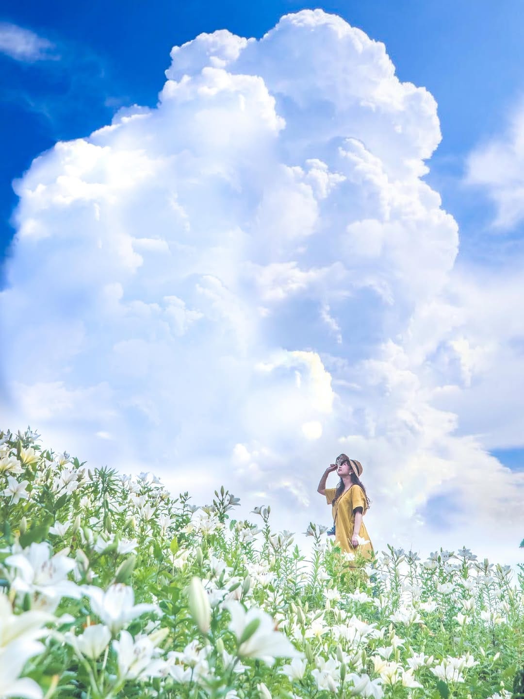 Post 5 by NAMIKO on Instagram (image)