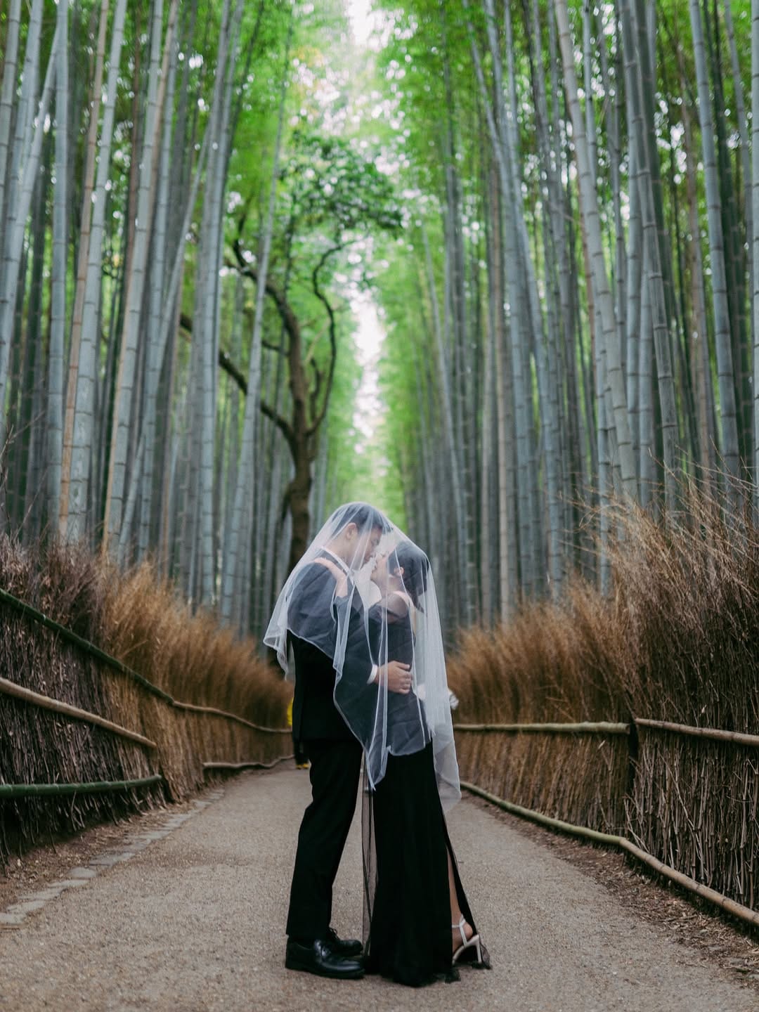 Post 7 by Taufan | Japan/osaka-kyoto-tokyo photographer on Instagram (carousel)