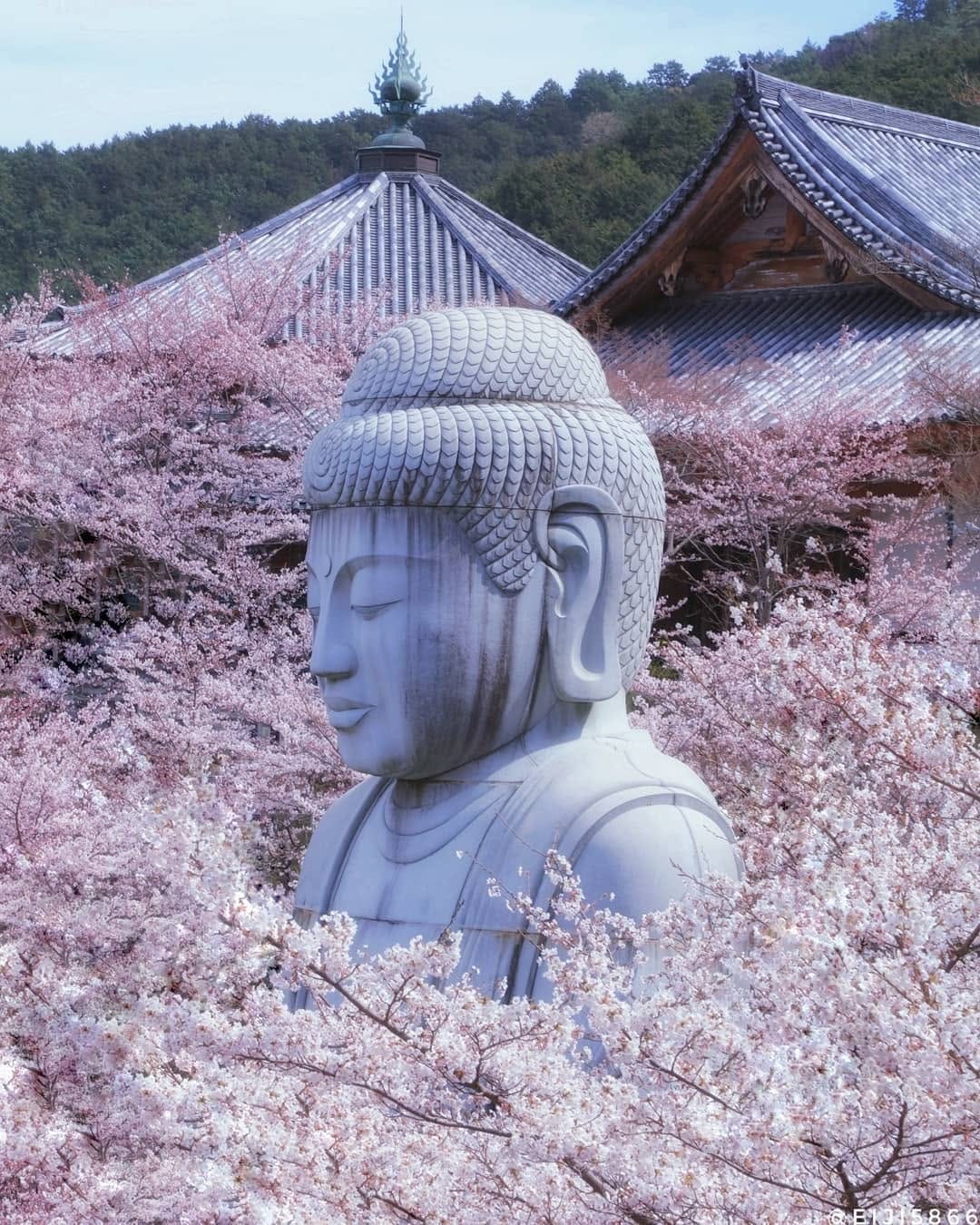 Post 9 by eiji.nagatomi （Deaf） on Instagram (image)