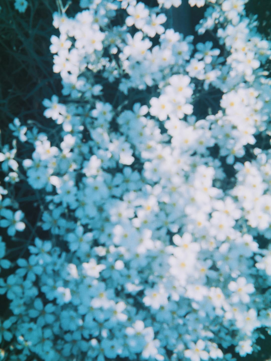 Post 6 by 吉沢 浩二 on Instagram (image)