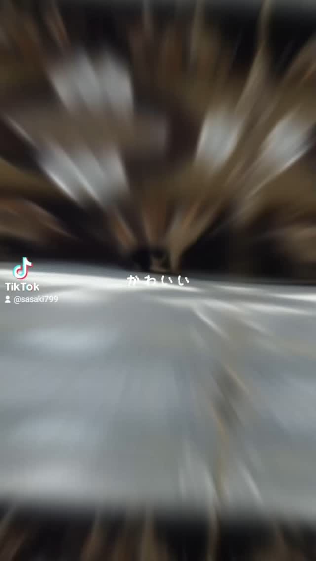 Post 2 by 佐々木 浩嗣 on Instagram (video)