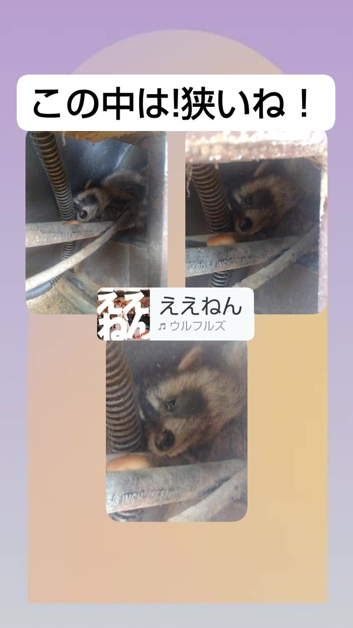Post 4 by 佐々木 浩嗣 on Instagram (video)