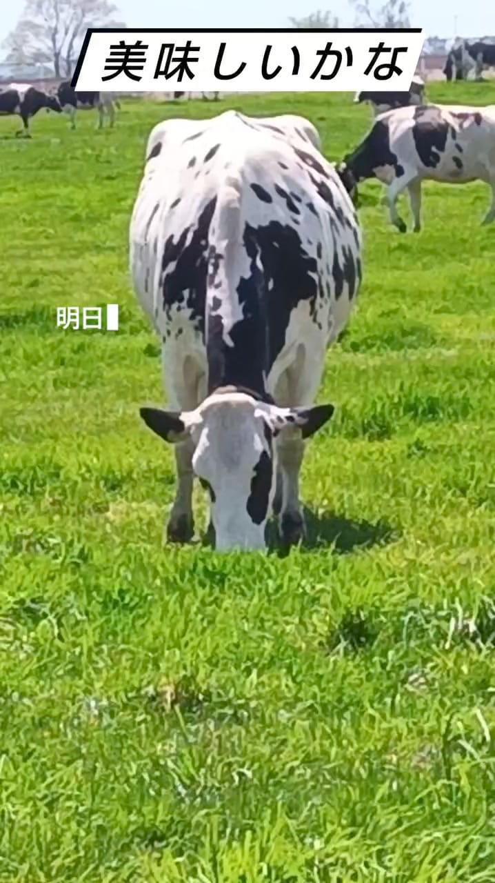 Post 6 by 佐々木 浩嗣 on Instagram (video)