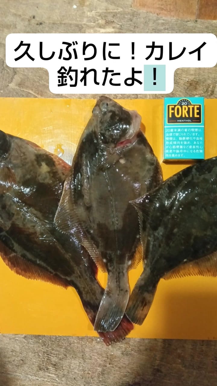 Post 7 by 佐々木 浩嗣 on Instagram (video)