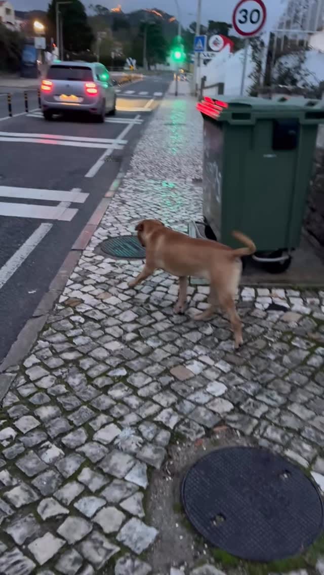 Post 7 by BruceWayOMitoOficial (RLugon) on Instagram (video)