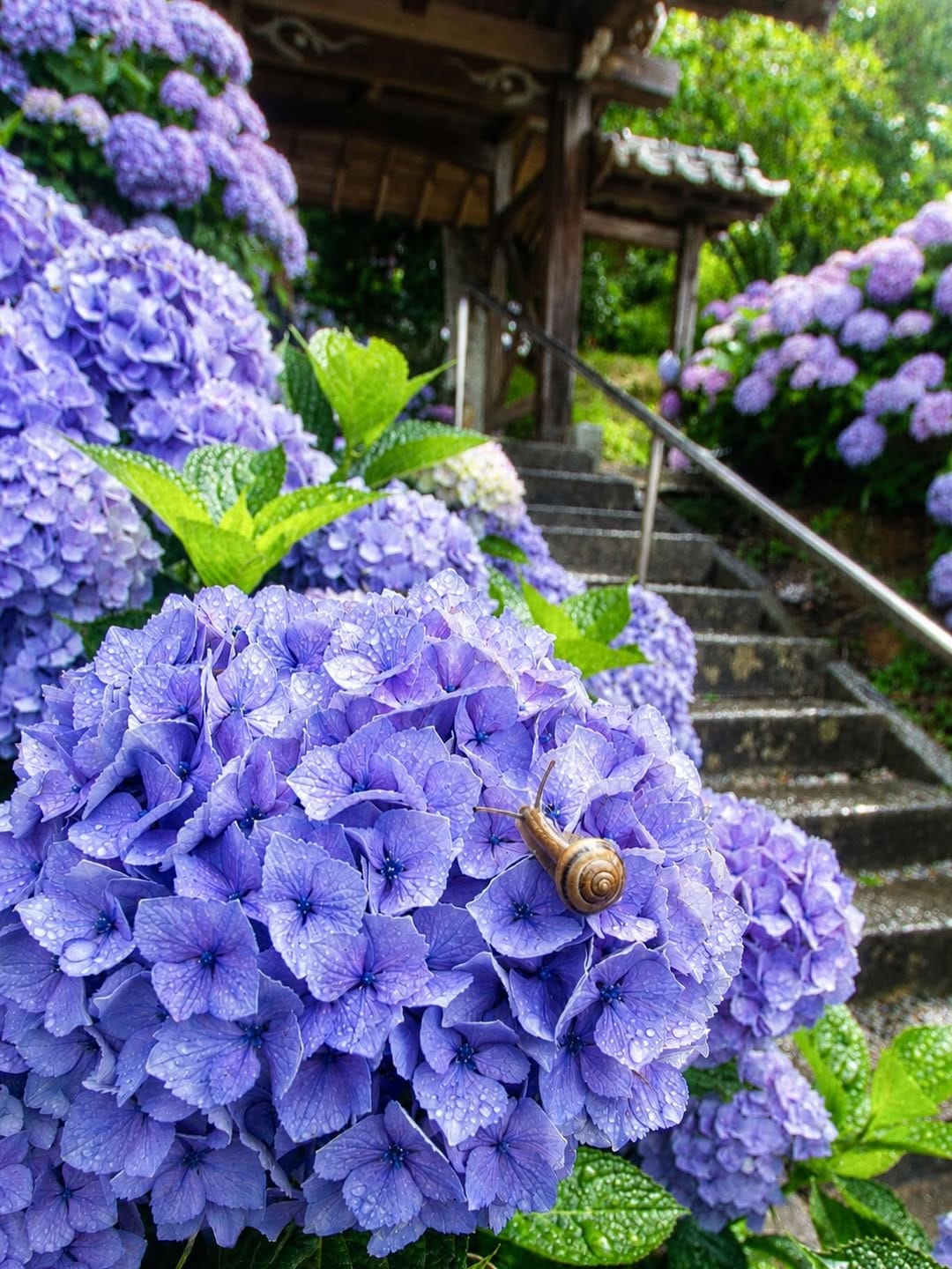 Post 7 by Ke-ta on Instagram (image)