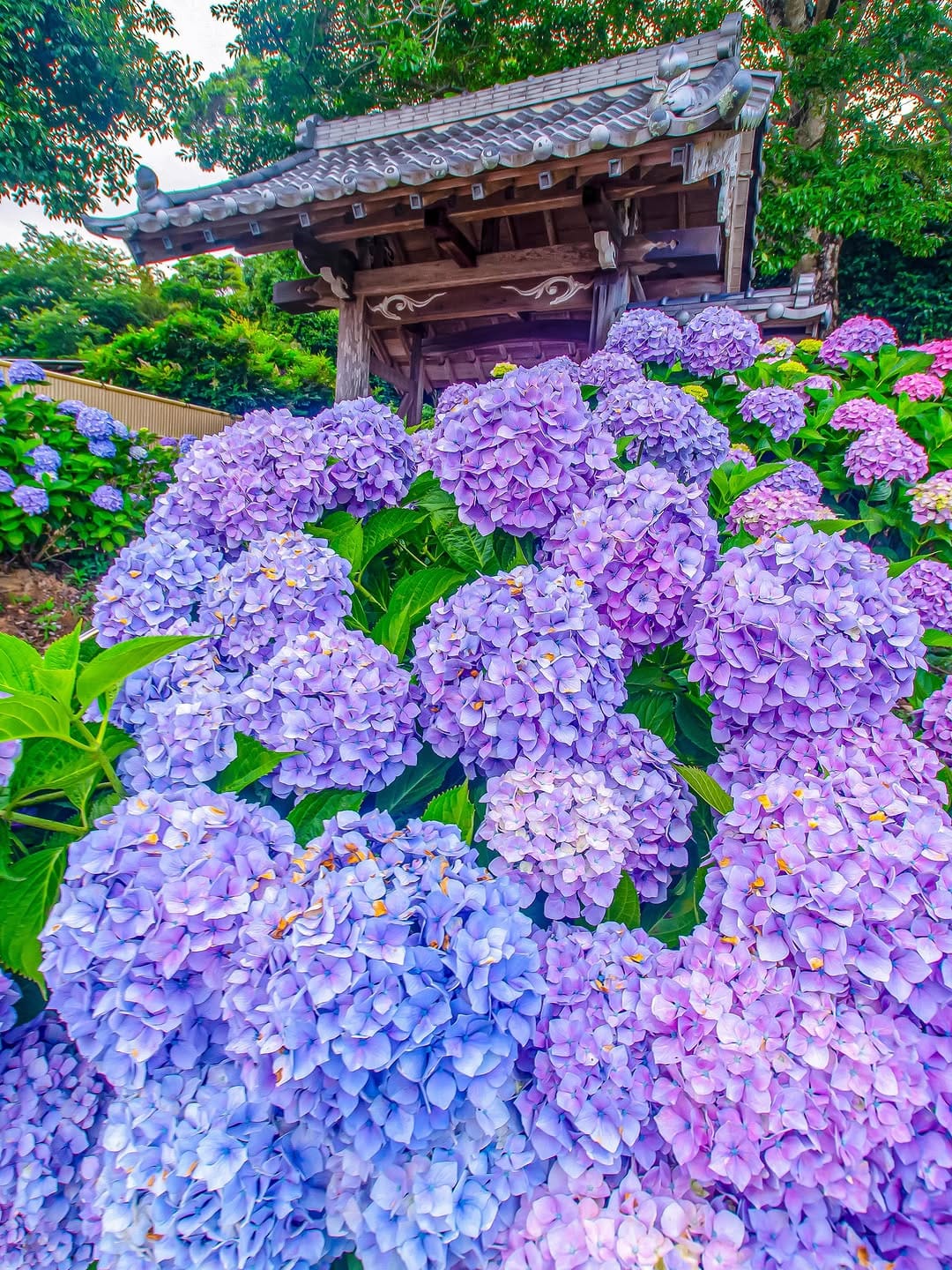 Post 9 by Ke-ta on Instagram (image)