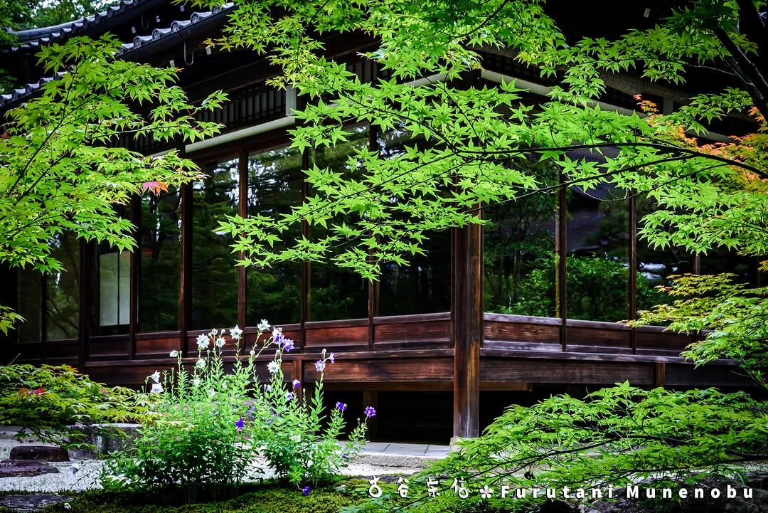 Post 2 by 古谷 宗信 on Instagram (image)