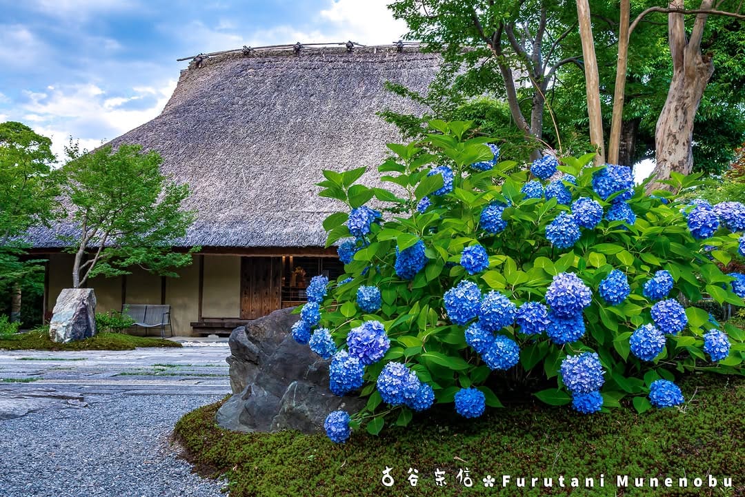 Post 5 by 古谷 宗信 on Instagram (image)