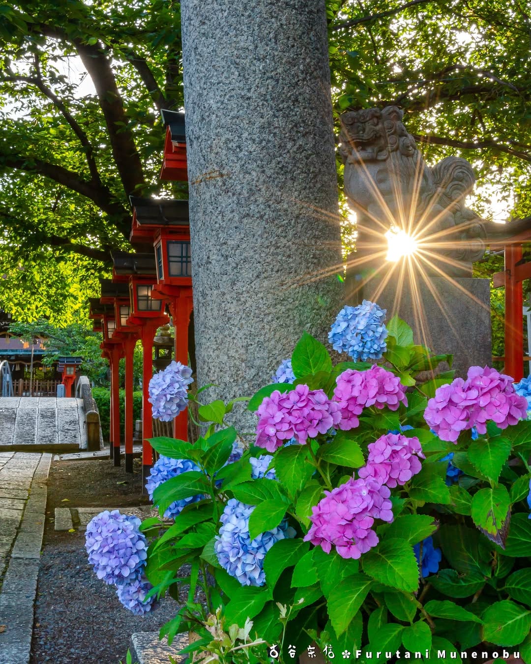 Post 9 by 古谷 宗信 on Instagram (image)