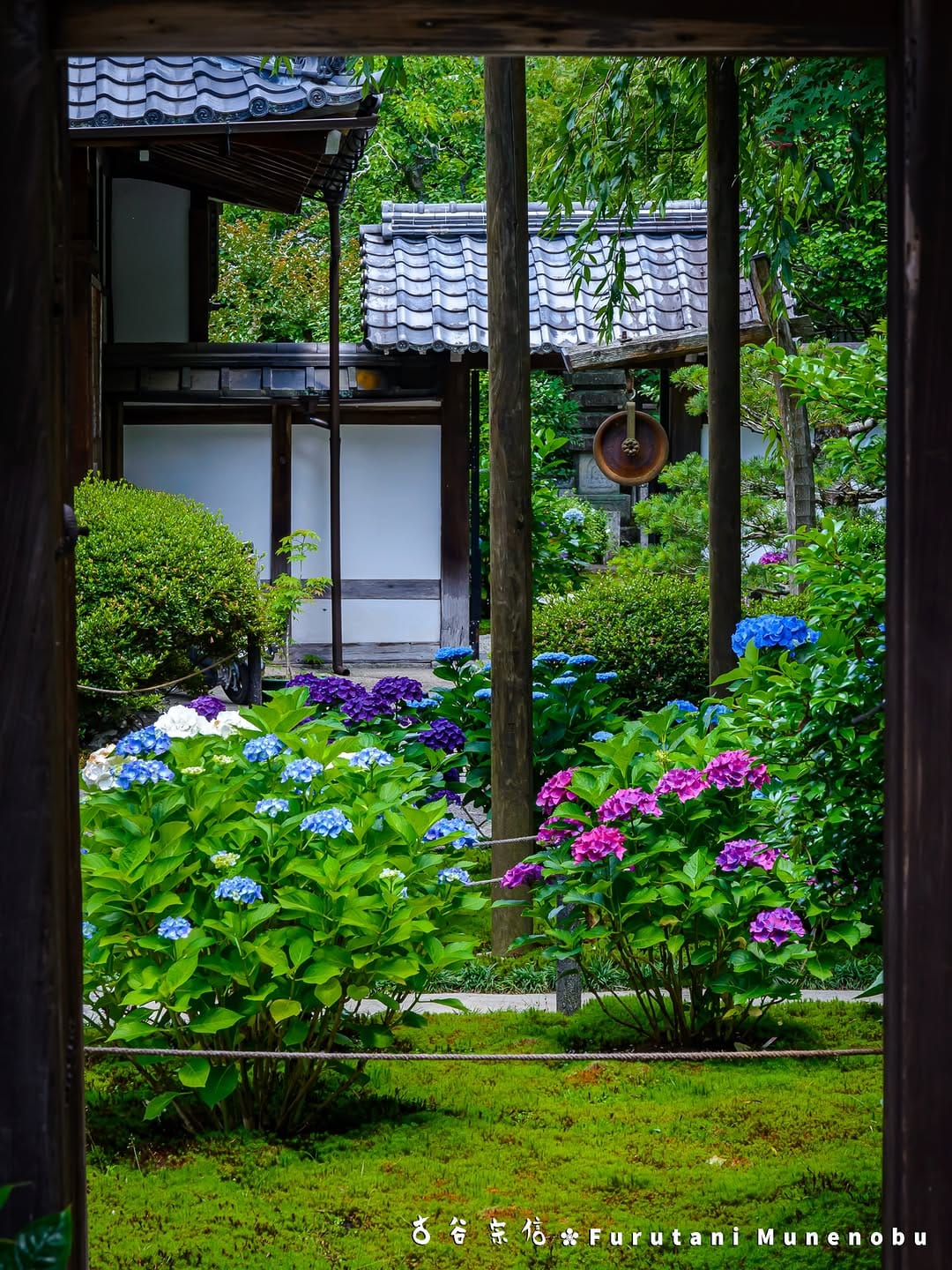 Post 7 by 古谷 宗信 on Instagram (image)