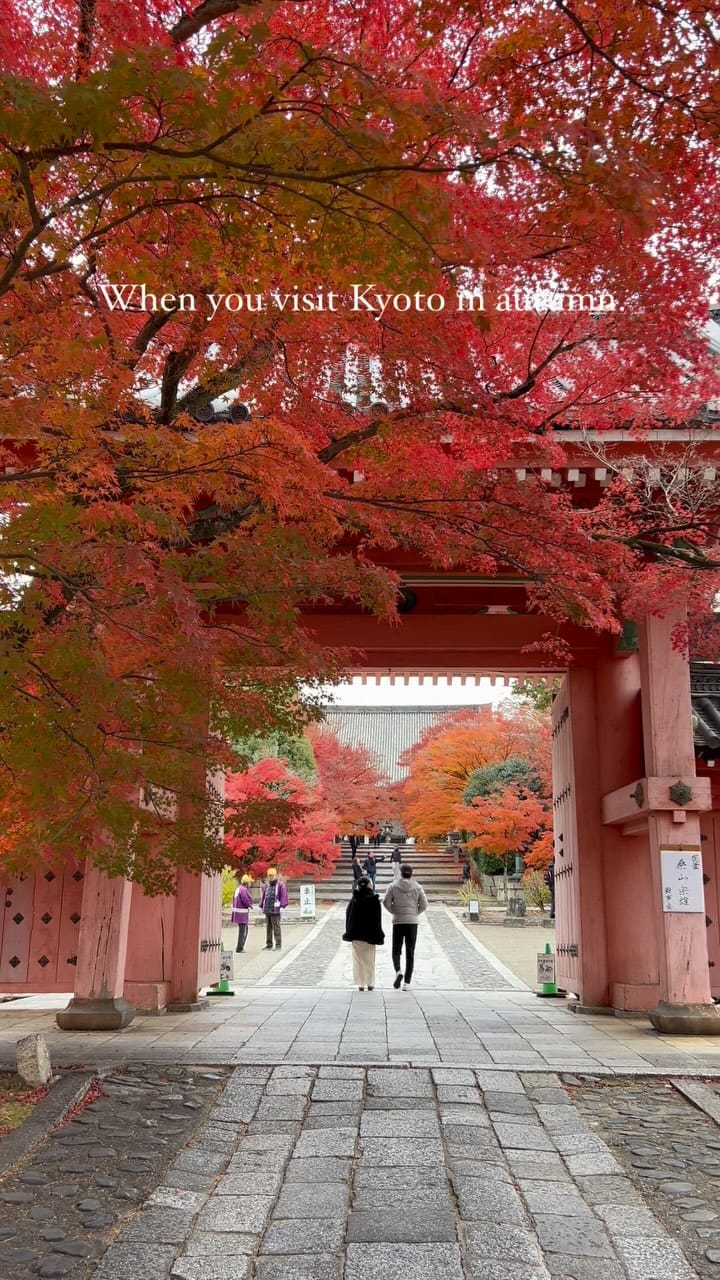 Post 5 by TAKU / Travel Diary on Instagram (video)