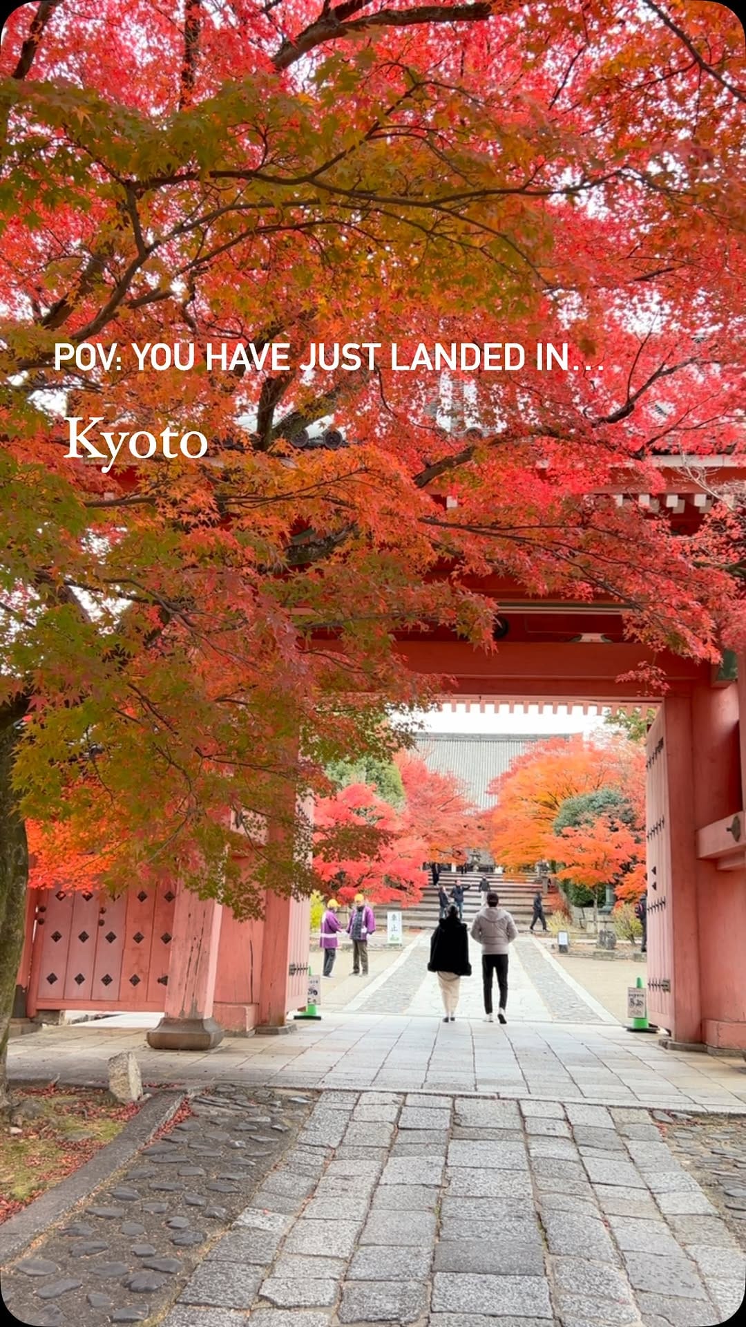 Post 3 by TAKU / Travel Diary on Instagram (video)
