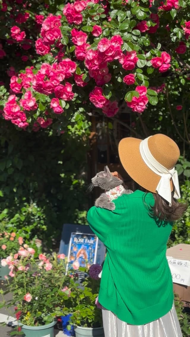 Post 8 by Life with my cats, Luna and Stella 𓃠𓃠 on Instagram (video)