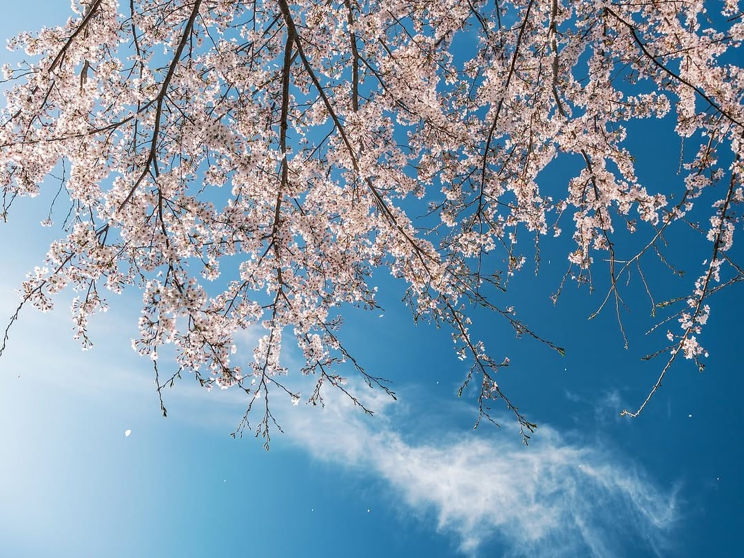 Post 5 by なな☺︎ on Instagram (image)