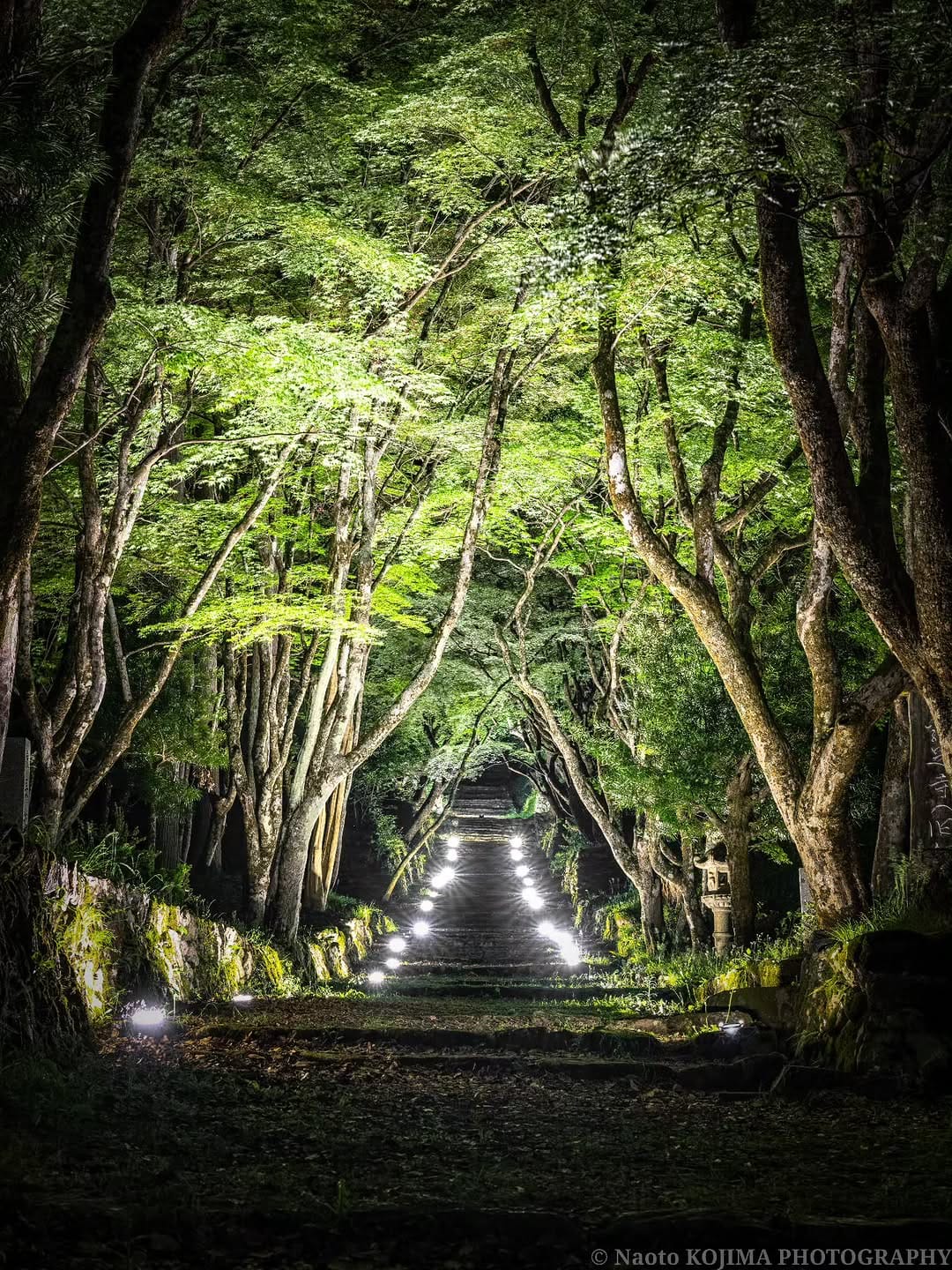 Post 5 by Naoto KOJIMA on Instagram (image)