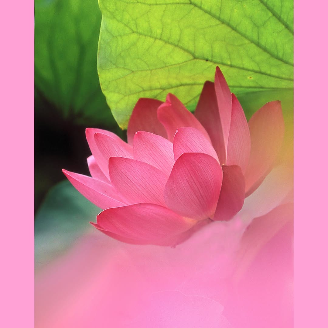 Post 1 by 東京空 月光彩 Artist on Instagram (image)