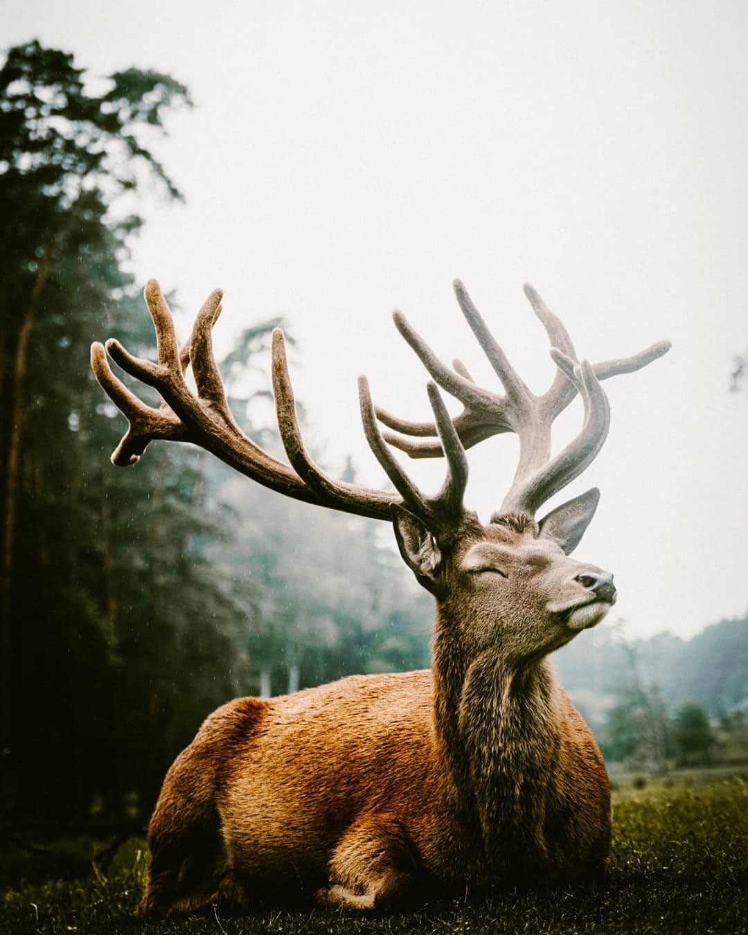 Post 10 by Felix | Ich gebe dem Moment Dauer | Authentische Fotoreportagen on Instagram (carousel)