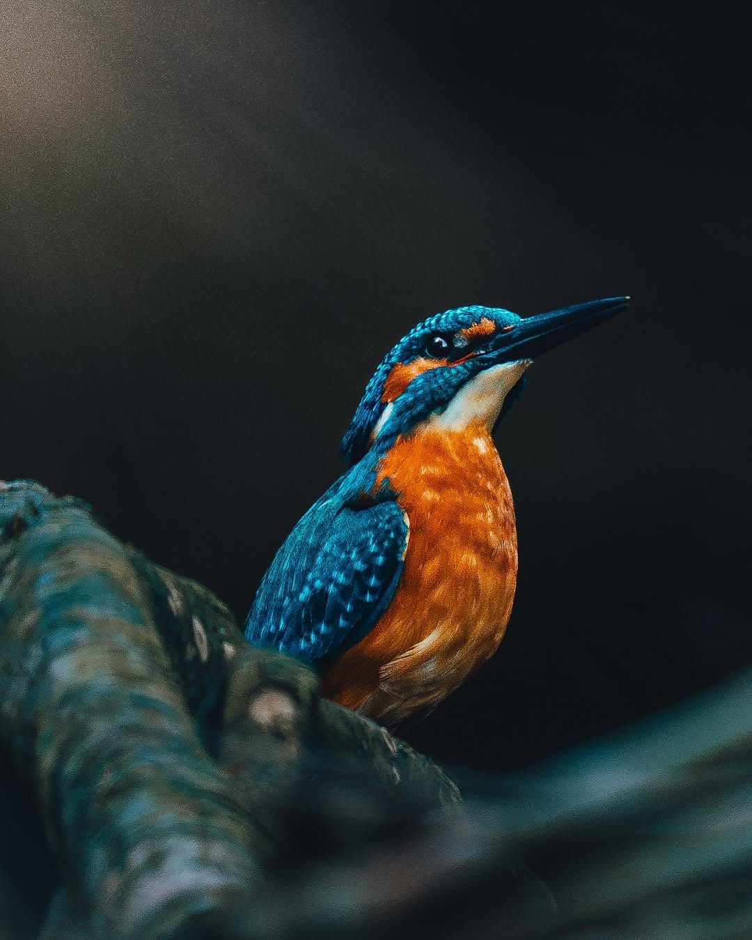 Post 5 by Felix | Ich gebe dem Moment Dauer | Authentische Fotoreportagen on Instagram (carousel)