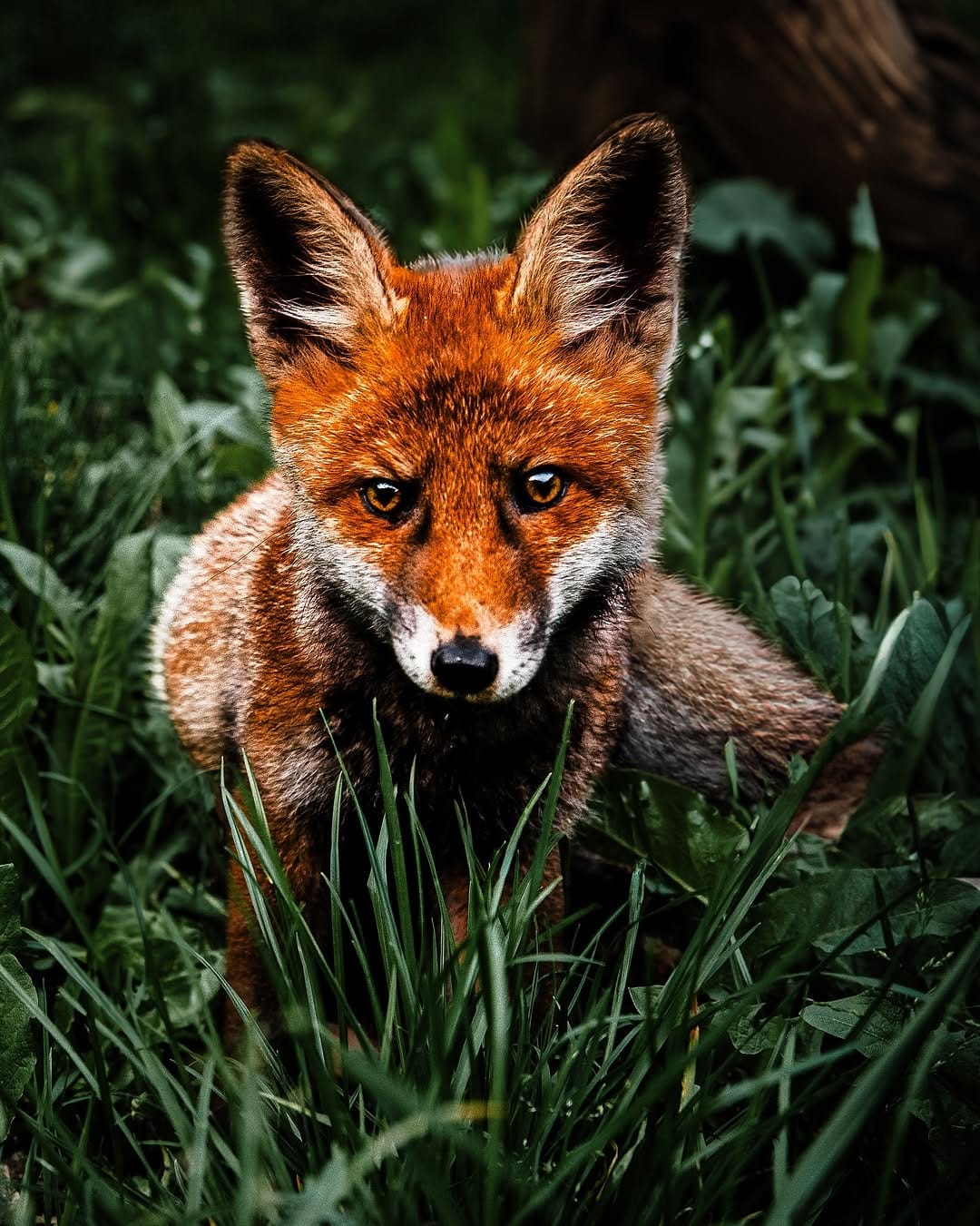 Post 4 by Felix | Ich gebe dem Moment Dauer | Authentische Fotoreportagen on Instagram (carousel)