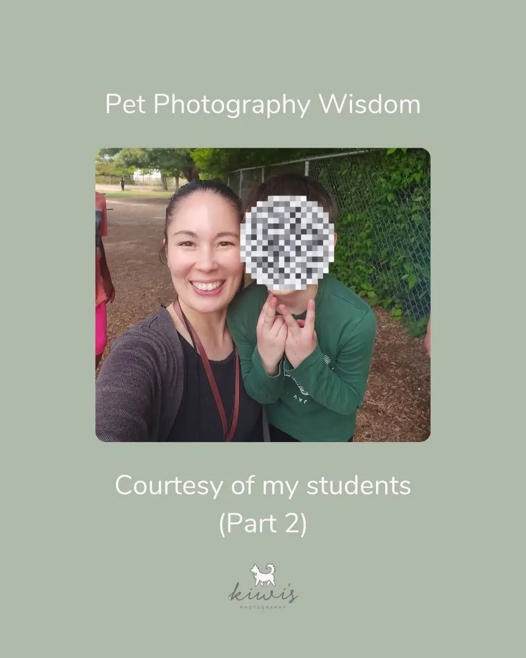 Post 7 by Hanako - Pet Photographer (Kiwi's Photography) on Instagram (carousel)