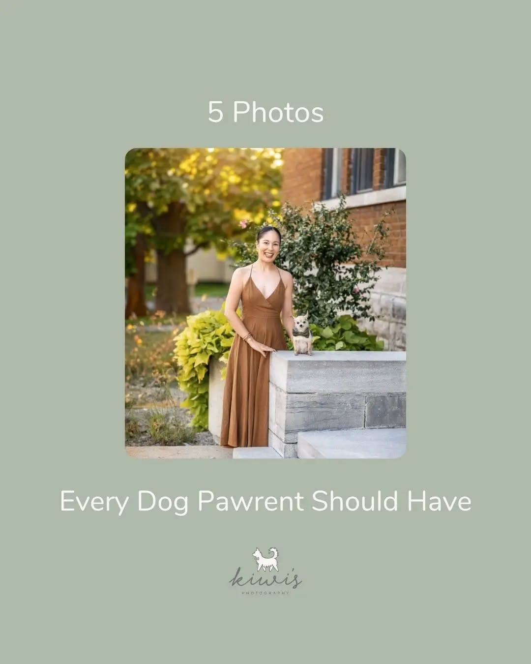 Post 5 by Hanako - Pet Photographer (Kiwi's Photography) on Instagram (carousel)