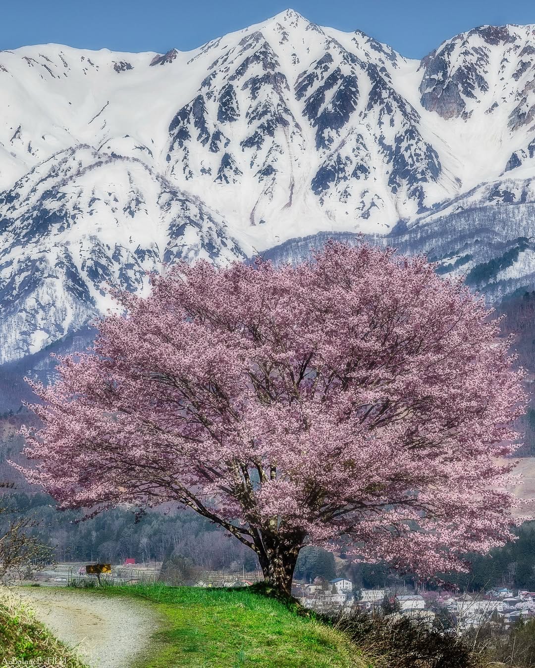 Post 10 by AnBalancE FILM   Landscape & Portrait Photographer on Instagram (image)