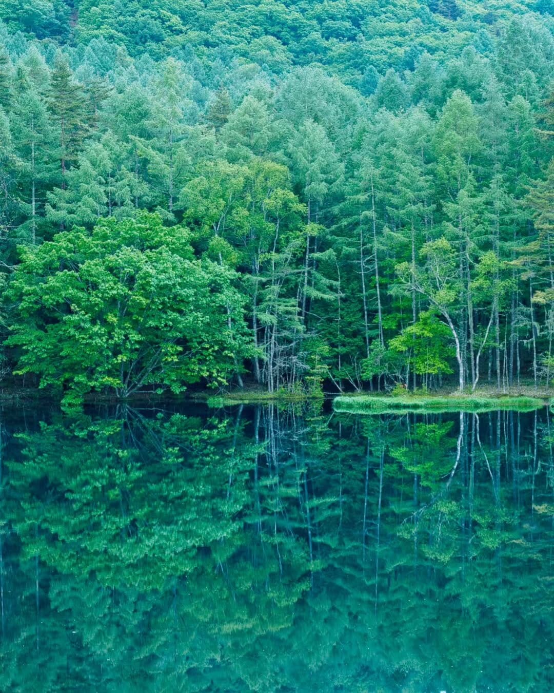 Post 1 by 𝒀.𝑺𝒉𝒊𝒎𝒊𝒛𝒖 on Instagram (image)
