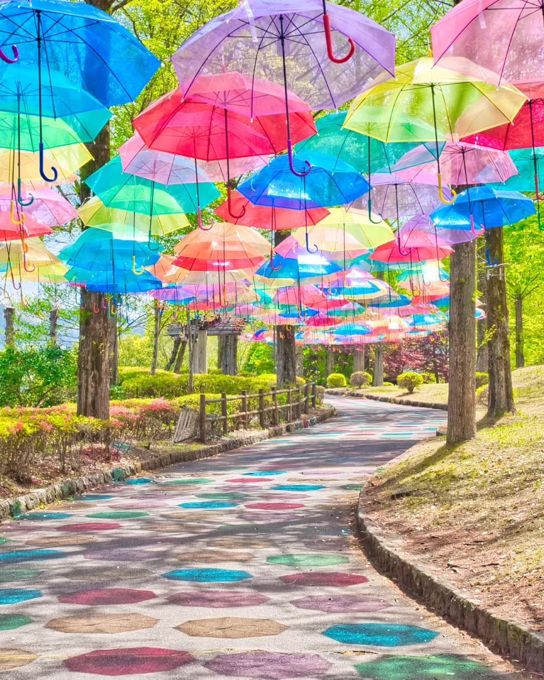Post 9 by 𝒀.𝑺𝒉𝒊𝒎𝒊𝒛𝒖 on Instagram (image)