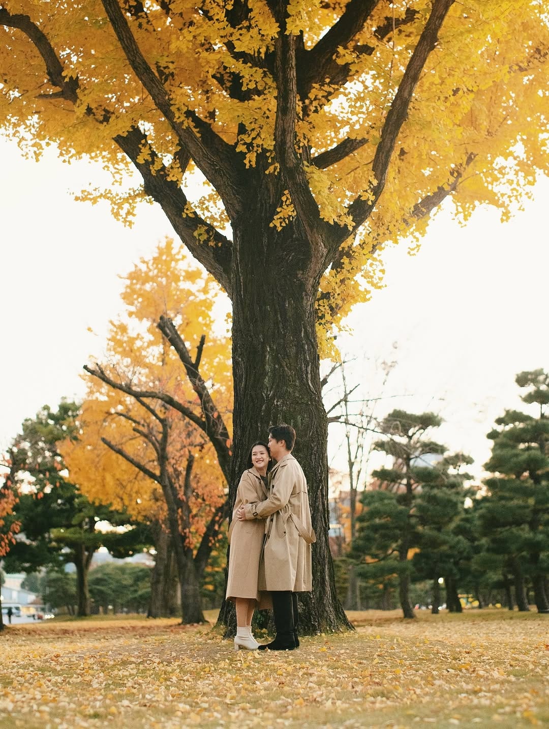 Post 8 by MOMIJI | Wedding Photographer on Instagram (carousel)