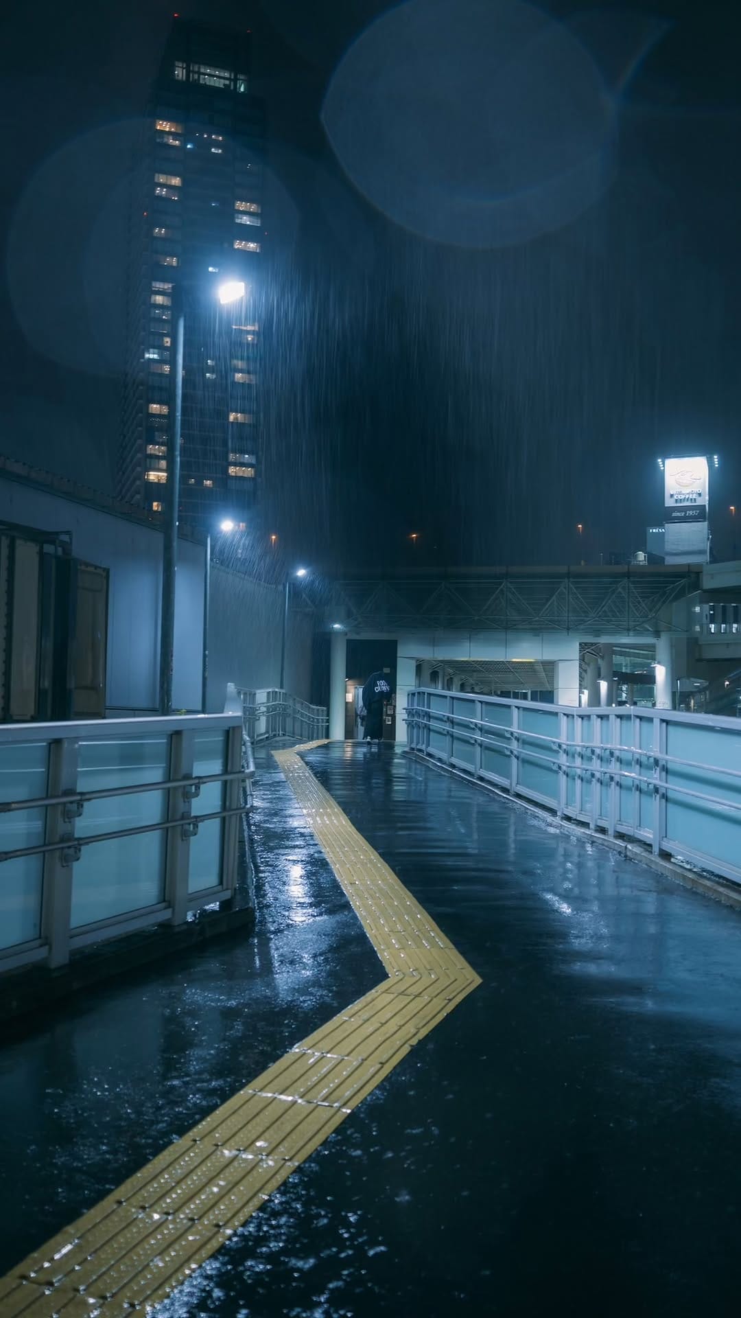 Post 3 by いまり | 夜散歩撮る人 on Instagram (video)
