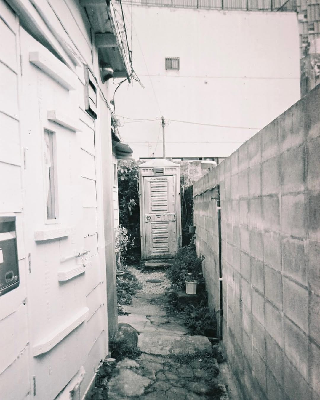 Post 3 by Sawa Nakanishi on Instagram (image)