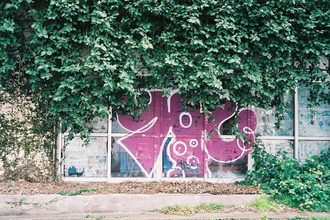 Post 1 by Sawa Nakanishi on Instagram (image)