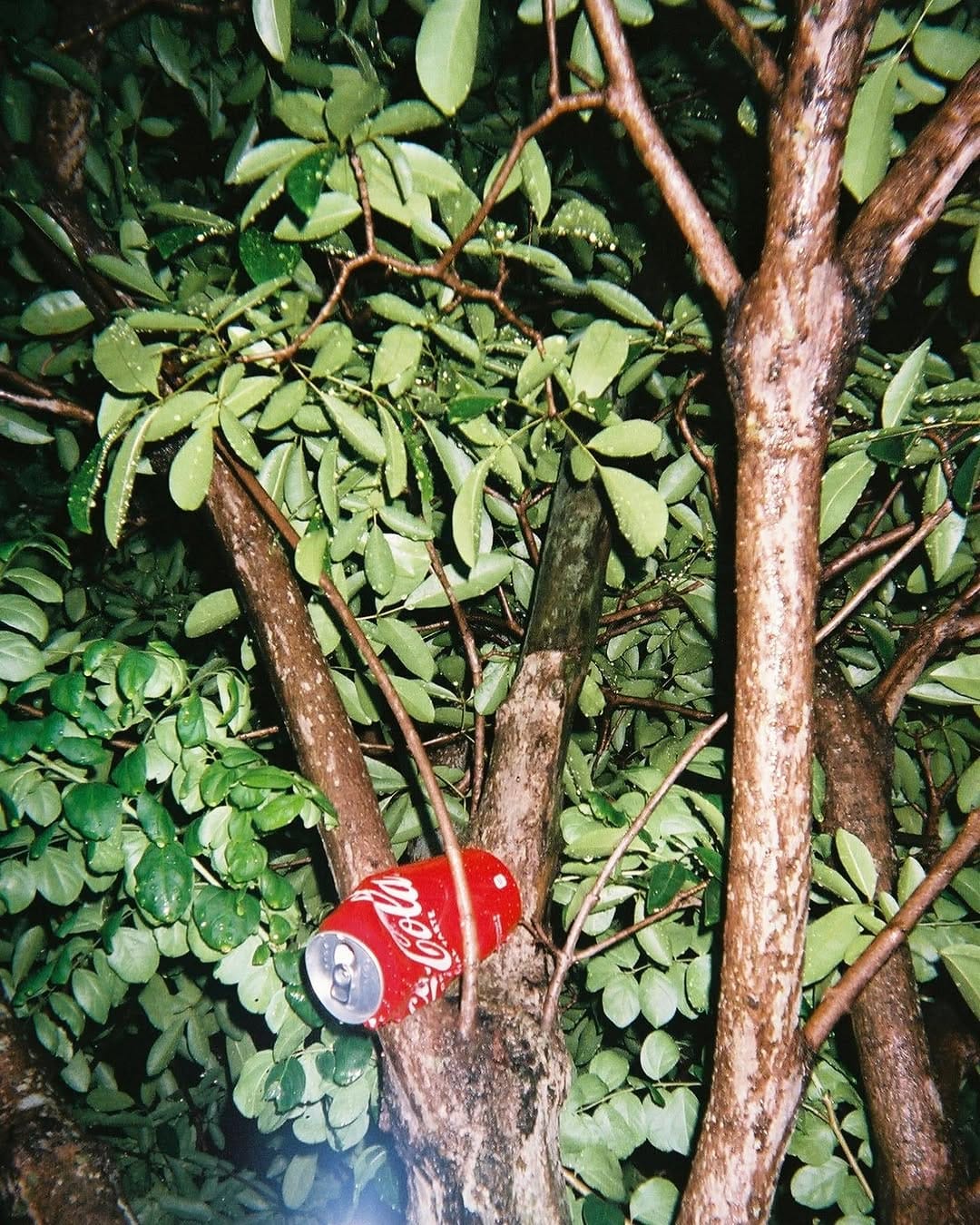 Post 6 by Sawa Nakanishi on Instagram (image)