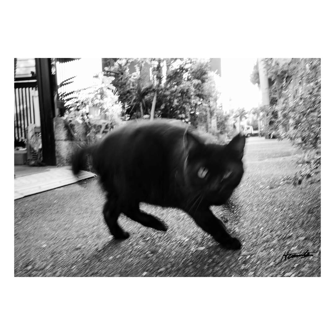 Post 9 by Haunts_ (Tetsuya Yuno) on Instagram (image)