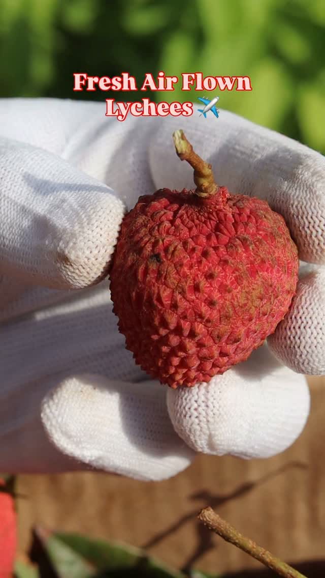 Post 7 by QuintEssentials 🍓 ( Exotic Fruits in Mumbai 📍) on Instagram (video)