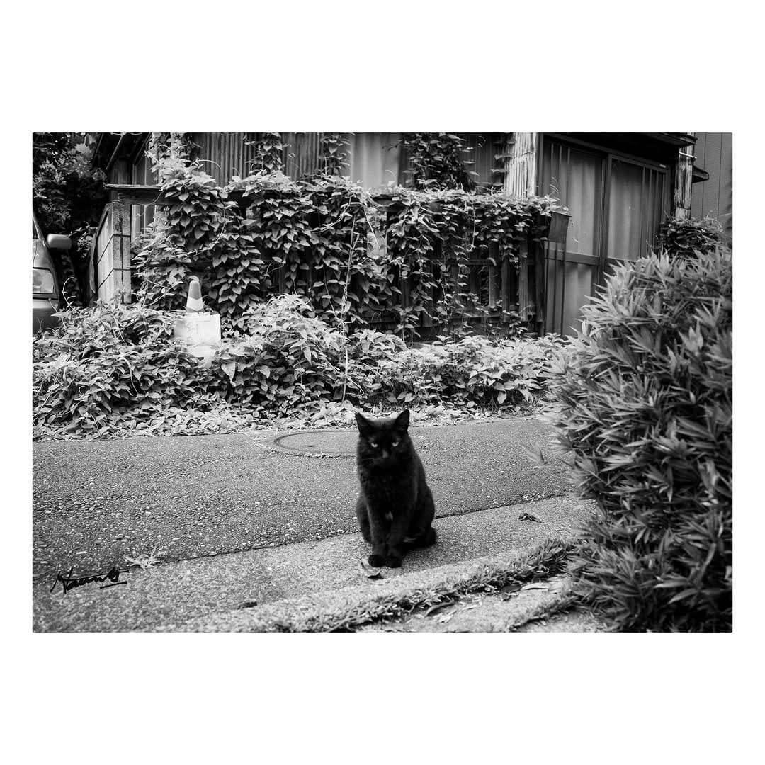 Post 6 by Haunts_ (Tetsuya Yuno) on Instagram (image)