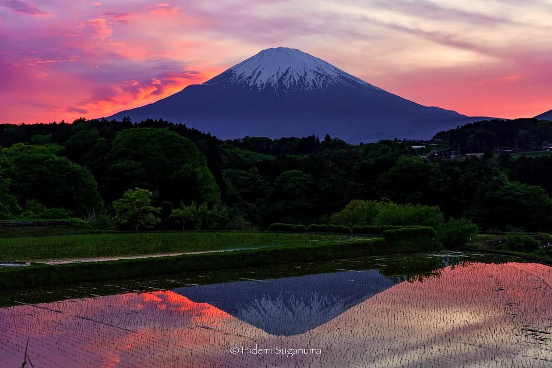 Post 3 by Hidemi Suganuma on Instagram (image)