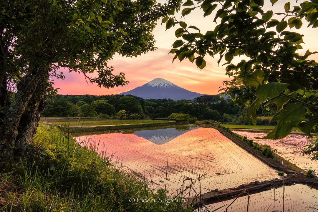 Post 4 by Hidemi Suganuma on Instagram (image)