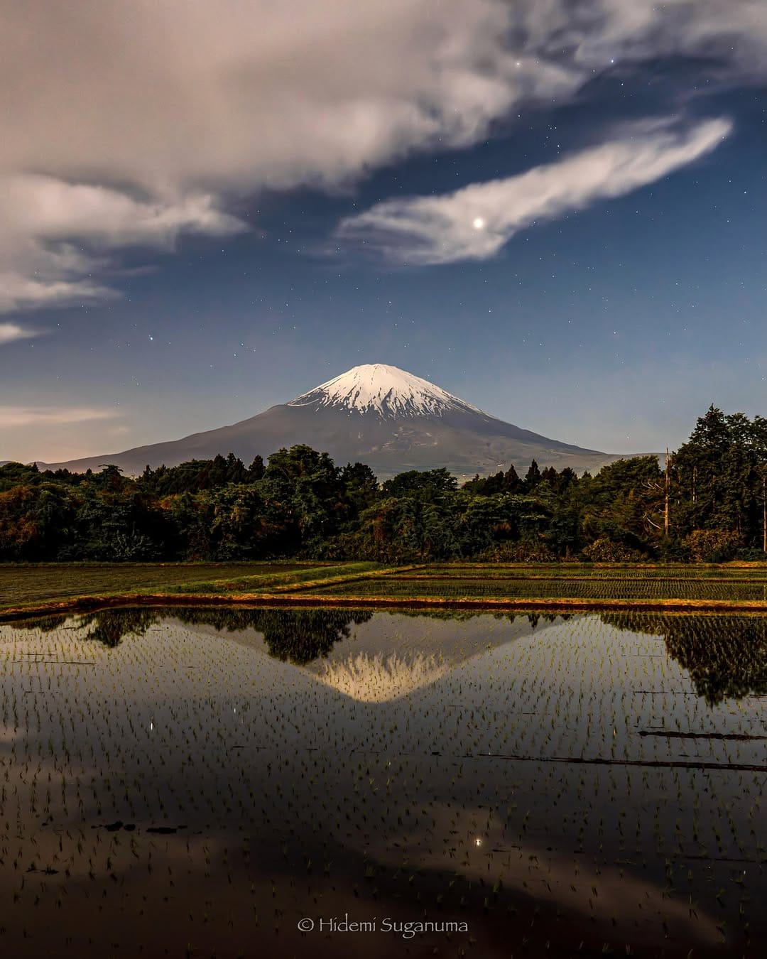 Post 6 by Hidemi Suganuma on Instagram (image)