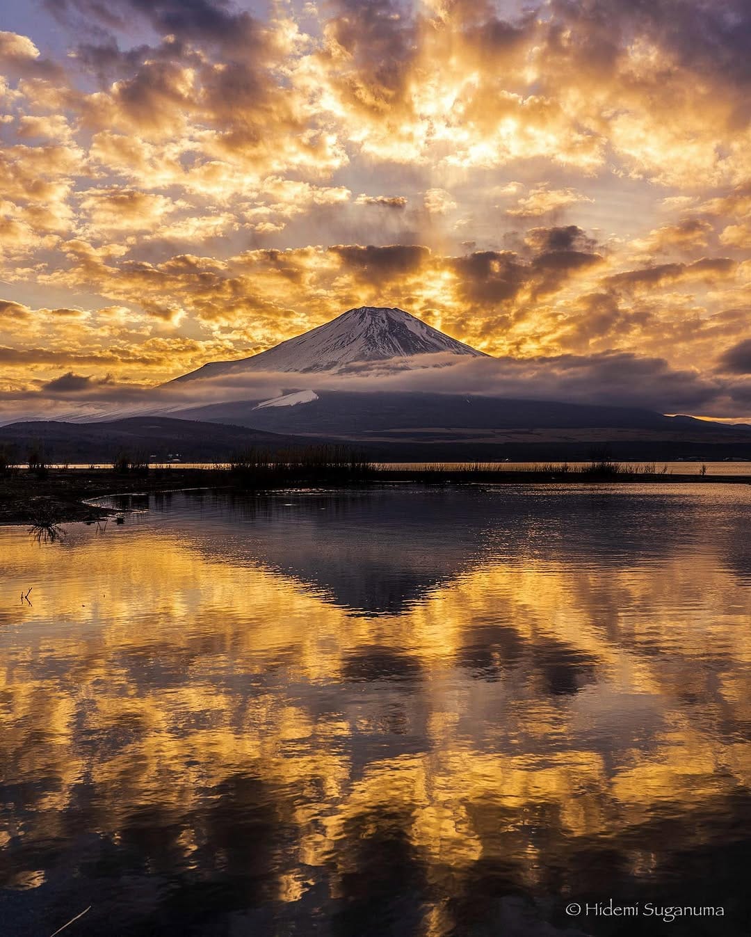 Post 10 by Hidemi Suganuma on Instagram (image)