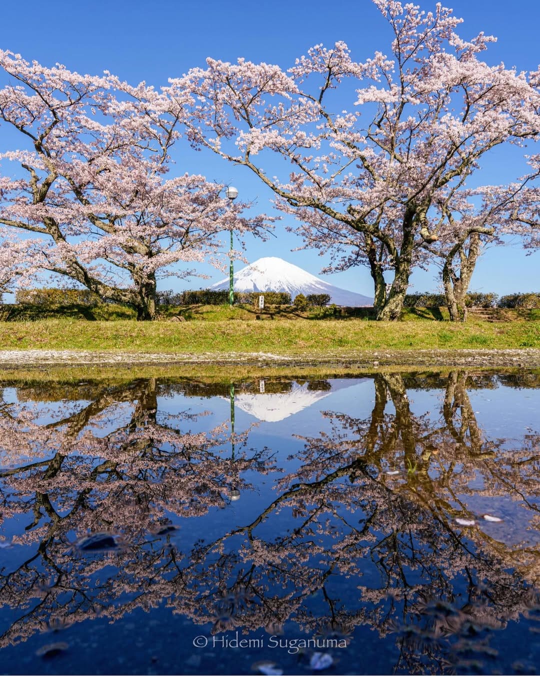Post 7 by Hidemi Suganuma on Instagram (image)