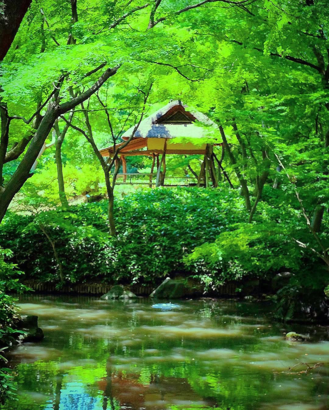 Post 6 by chihiro | Tokyo🇯🇵 on Instagram (image)