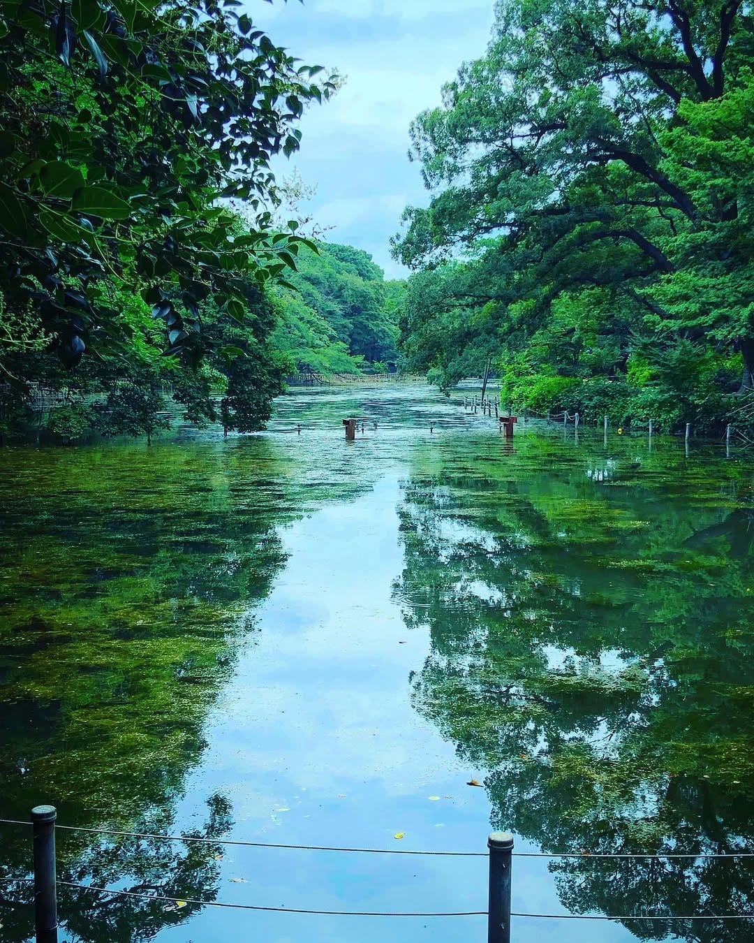 Post 3 by chihiro | Tokyo🇯🇵 on Instagram (image)