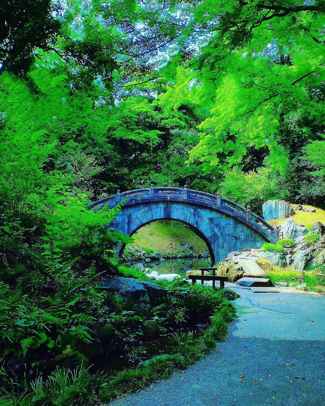 Post 8 by chihiro | Tokyo🇯🇵 on Instagram (image)