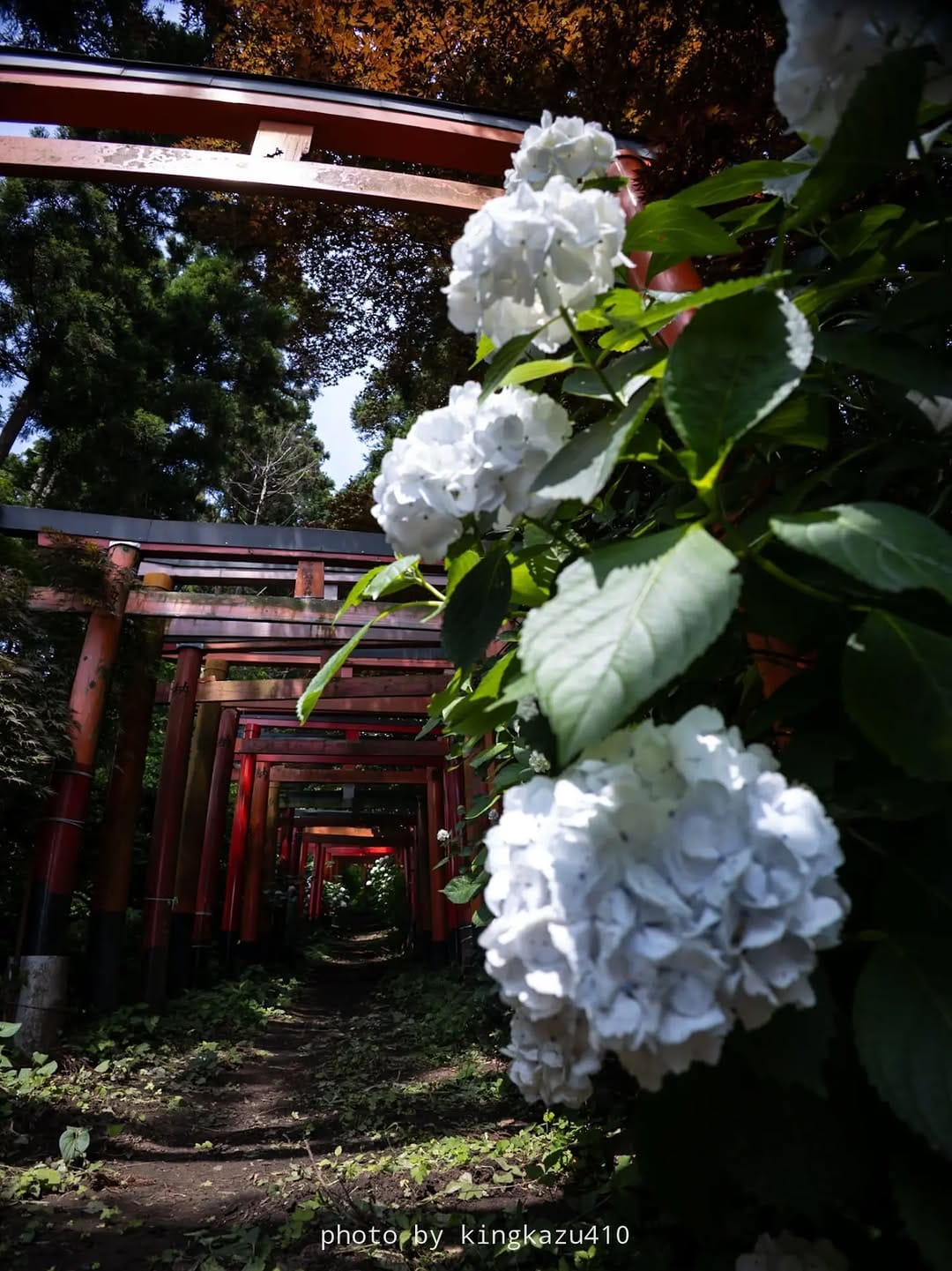 Post 7 by kazuhiro.h on Instagram (image)