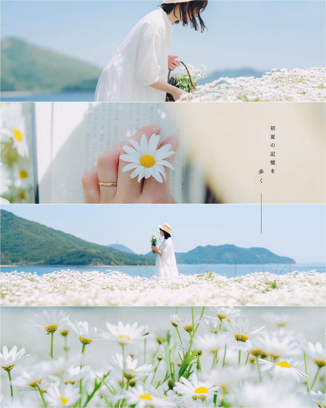 Post 10 by 絵　梨　果　( Erika ) on Instagram (image)