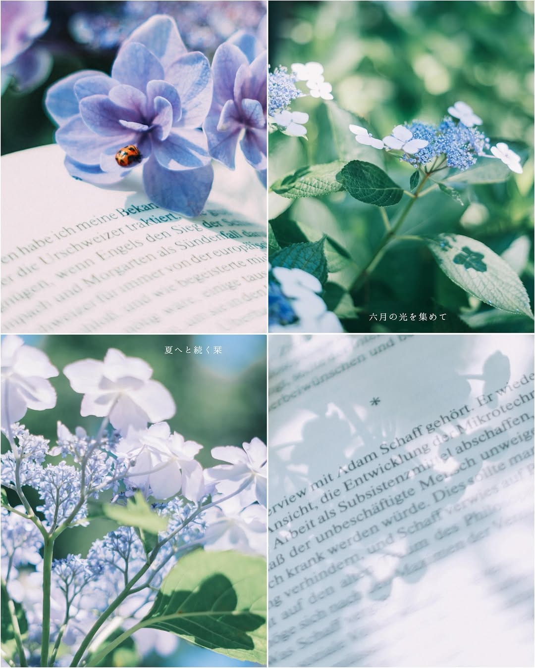 Post 7 by 絵　梨　果　( Erika ) on Instagram (image)